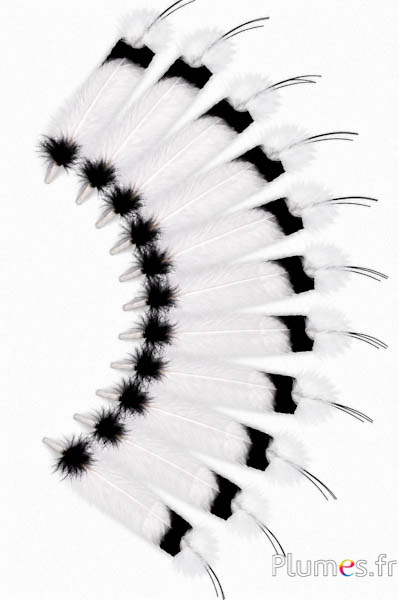 Gans - Indianerfeder - 30-35 cm - weiß-schwarz
